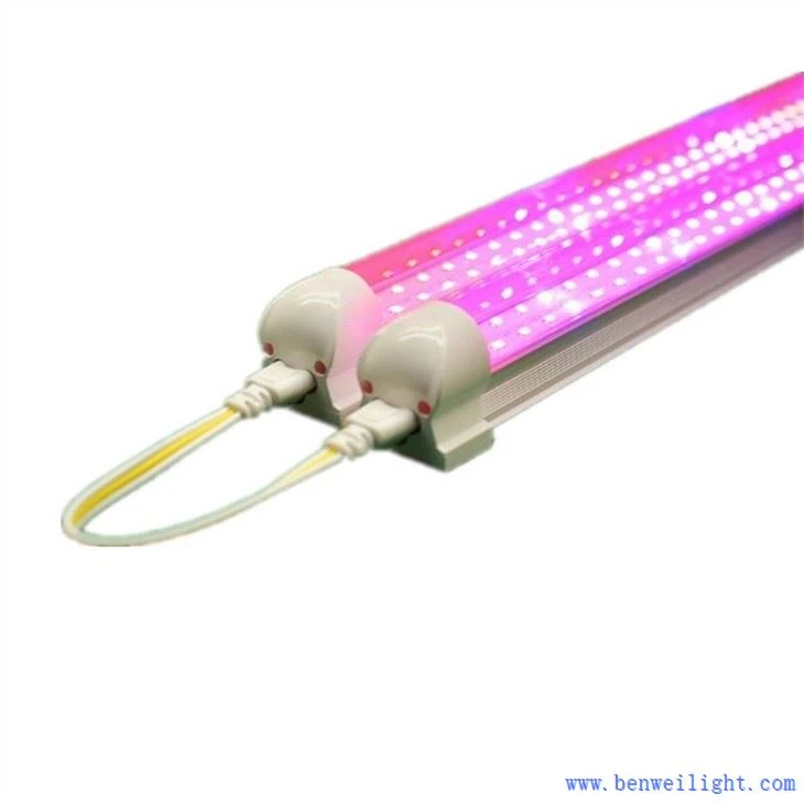 Grow Light Heaven