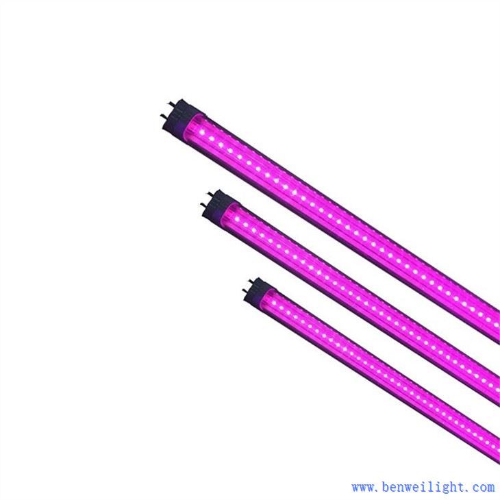 Grow Light Energy Cost