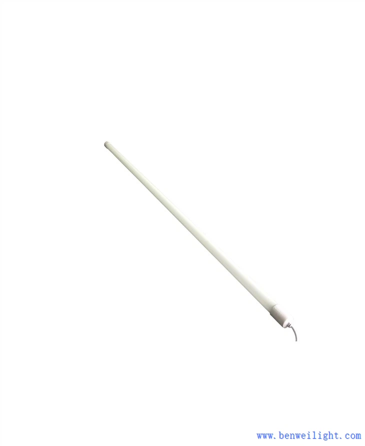 Rødt fjærkrelys til kylling