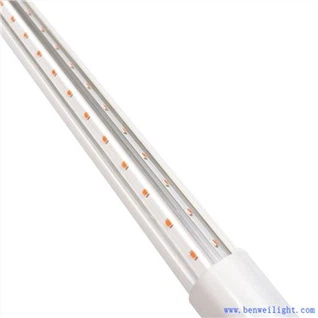 Poultry Light Manager Mini