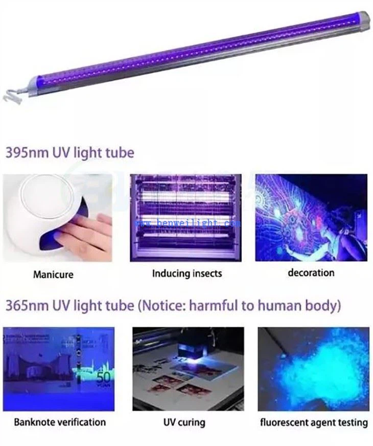 Blacklight Tube Light