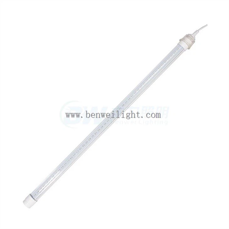 Lys i hønsegården: er det nødvendig?