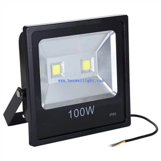 Boundary Led flomlys