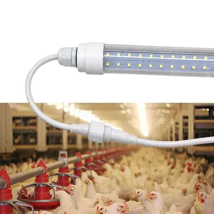 Dimmer fjærkre LED-lys for kyllingfarm