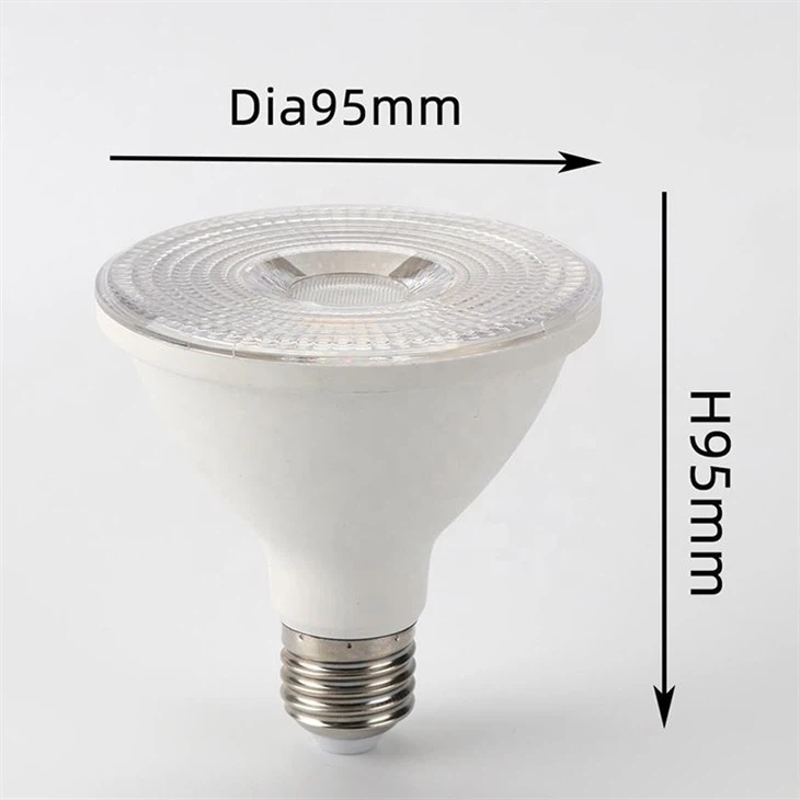 PAR30 Short Neck Light Bulb size