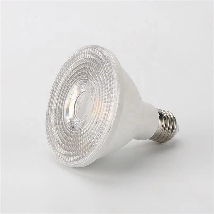 PAR30 Short Neck Light Bulb