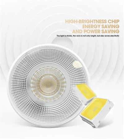 15w Dimbar Led Par30 Spotlight