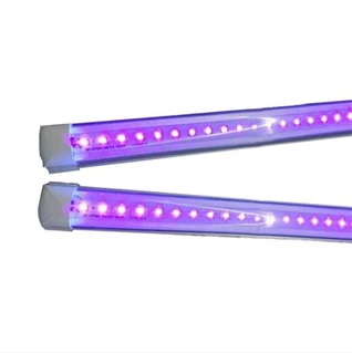 Insect Killer Black Light