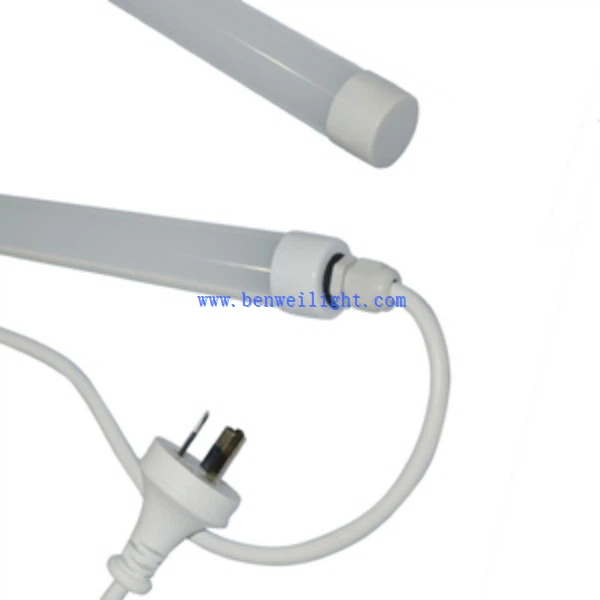 Coop Lighting (1)
