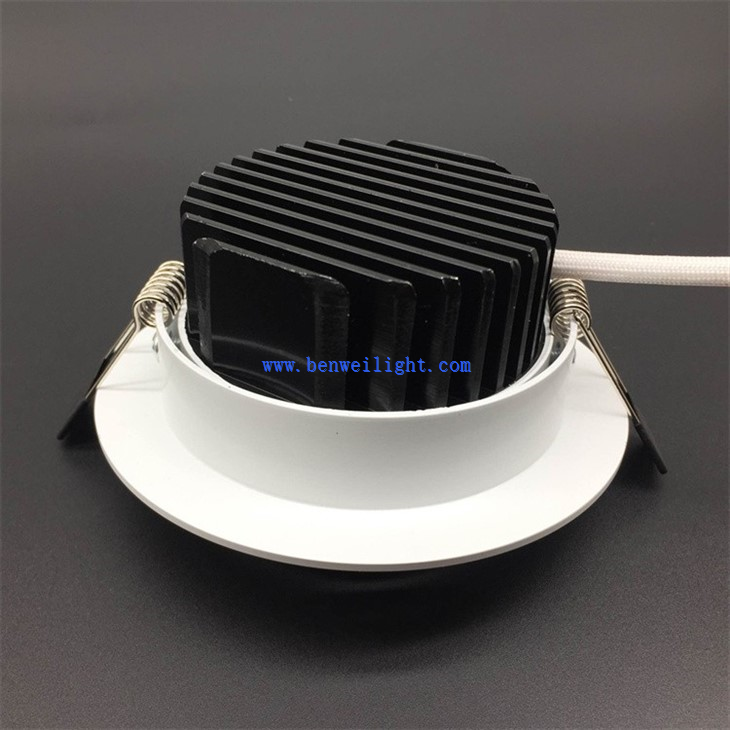 Downlight For Housing Decoration (4)