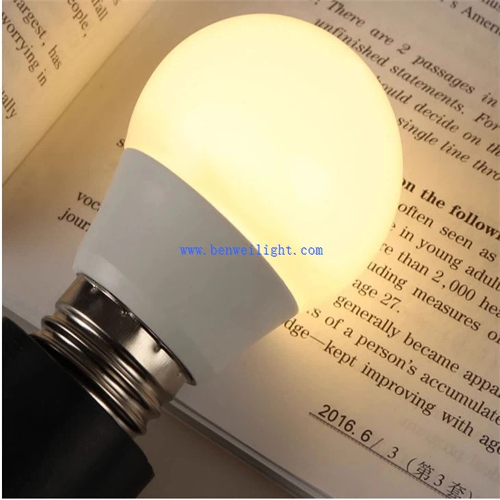 E27 Indoor Bulb (5)
