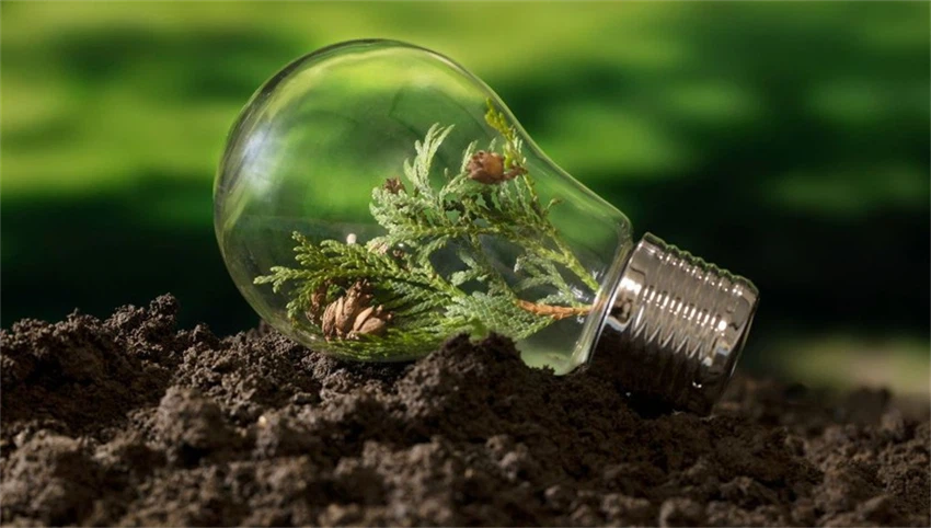 info-850-482 info-850-482