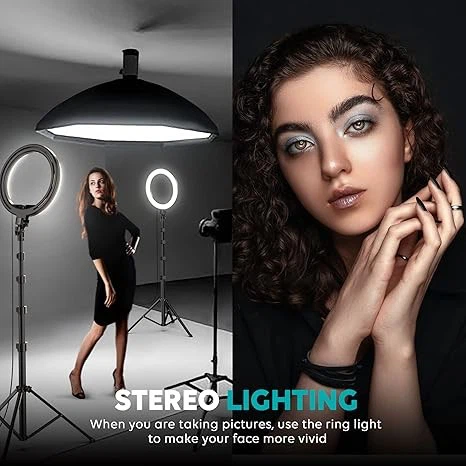 LED Ringlight Dimmable Desktop Lamp 40 Colors RGB Tall Circle Light best
