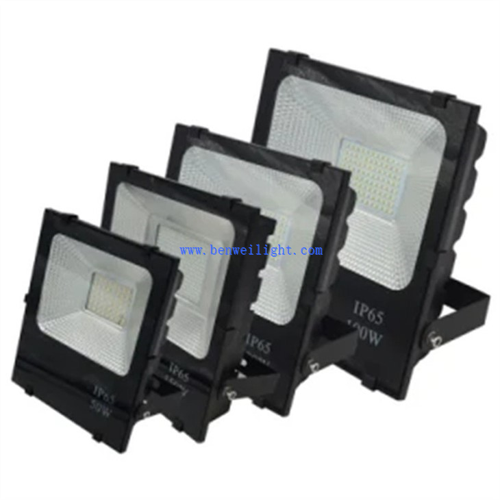Outdoor LED Projector Light (2)