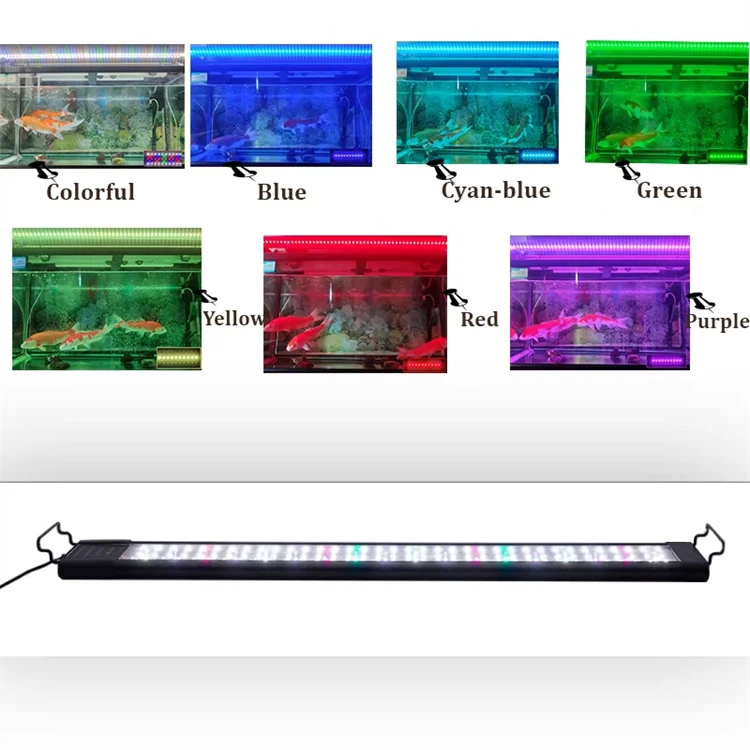 product-750-750 product-750-750