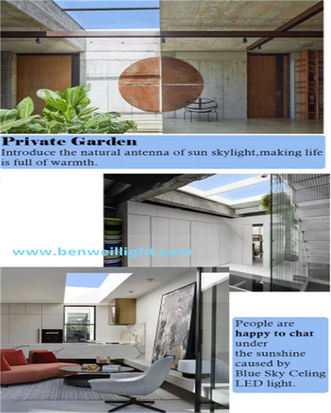 product-650-810 product-650-810