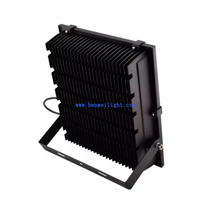 Security Light (2)