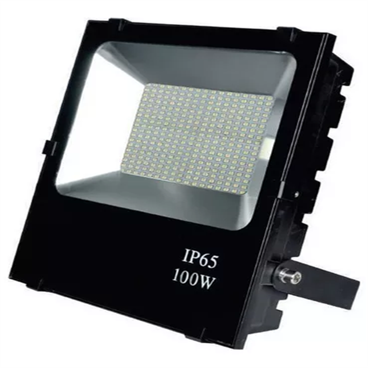 Security Light (1)