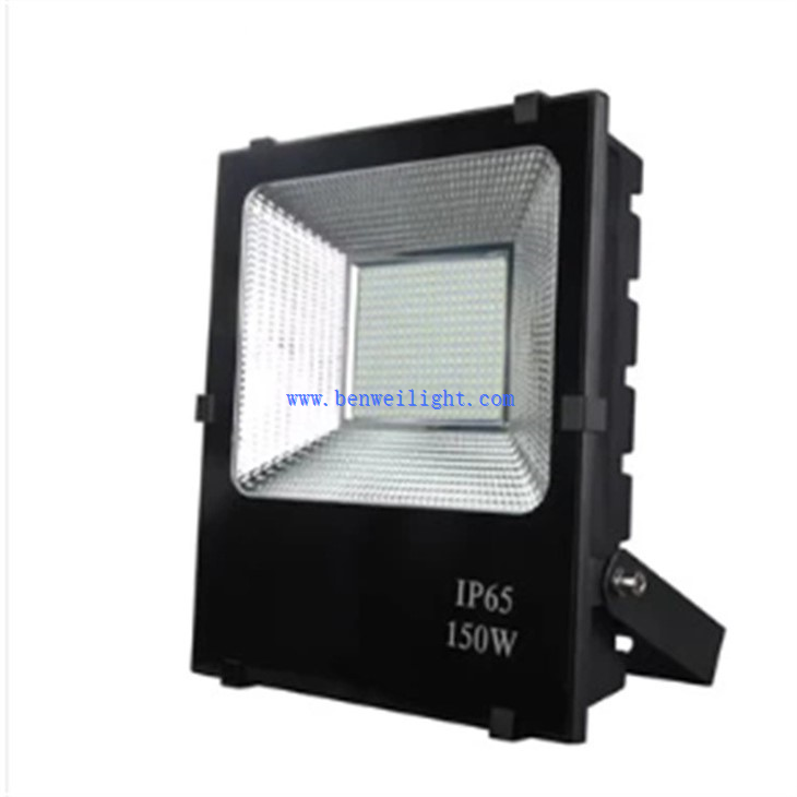 Security Light (1)