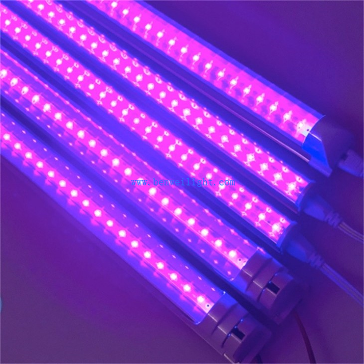 Ultraviolet Light With High UV Output (2)